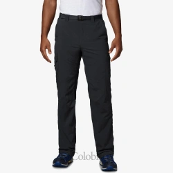 شلوار کلمبیا مردانه مدل Columbia Silver Ridge Cargo Pant AM8007-010